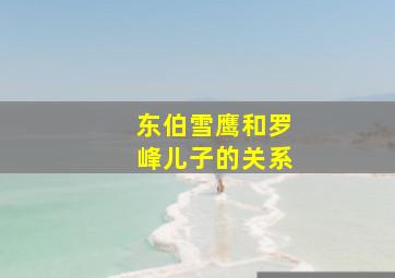 东伯雪鹰和罗峰儿子的关系