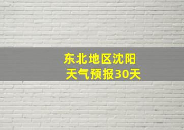 东北地区沈阳天气预报30天