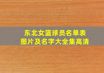 东北女篮球员名单表图片及名字大全集高清