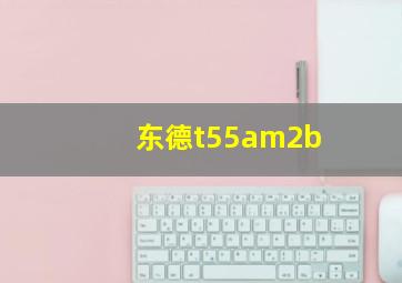 东德t55am2b