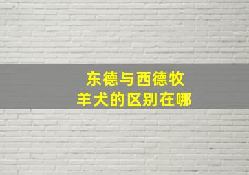 东德与西德牧羊犬的区别在哪