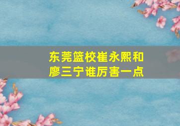 东莞篮校崔永熙和廖三宁谁厉害一点