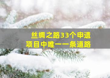 丝绸之路33个申遗项目中唯一一条道路