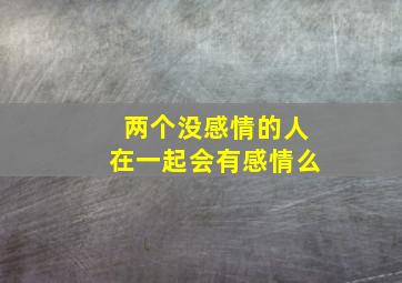 两个没感情的人在一起会有感情么