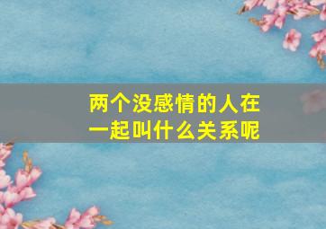 两个没感情的人在一起叫什么关系呢