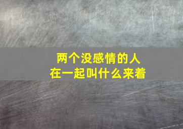 两个没感情的人在一起叫什么来着