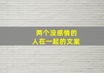 两个没感情的人在一起的文案