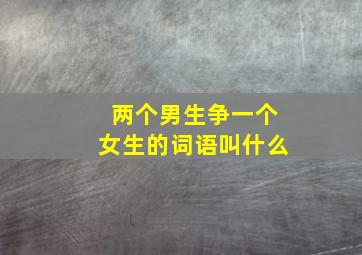 两个男生争一个女生的词语叫什么