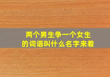 两个男生争一个女生的词语叫什么名字来着