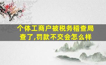 个体工商户被税务稽查局查了,罚款不交会怎么样