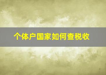 个体户国家如何查税收