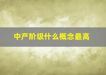 中产阶级什么概念最高