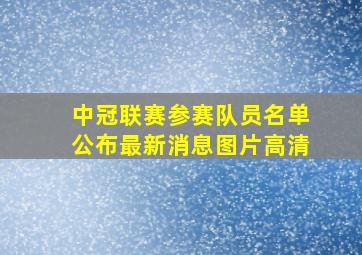 中冠联赛参赛队员名单公布最新消息图片高清