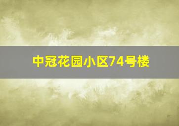 中冠花园小区74号楼