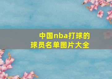 中国nba打球的球员名单图片大全