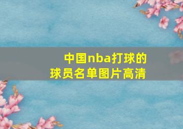 中国nba打球的球员名单图片高清