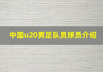 中国u20男足队员球员介绍