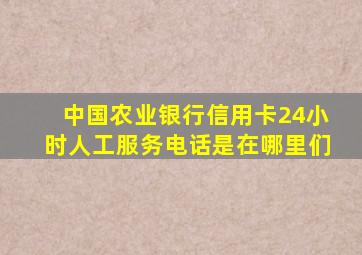 中国农业银行信用卡24小时人工服务电话是在哪里们