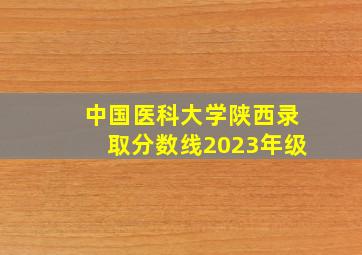 中国医科大学陕西录取分数线2023年级