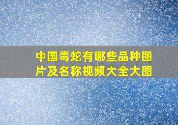 中国毒蛇有哪些品种图片及名称视频大全大图