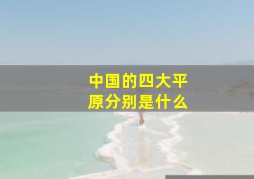 中国的四大平原分别是什么