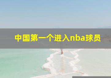 中国第一个进入nba球员