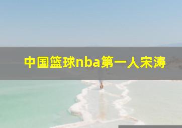 中国篮球nba第一人宋涛