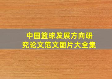 中国篮球发展方向研究论文范文图片大全集