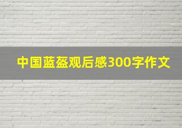 中国蓝盔观后感300字作文