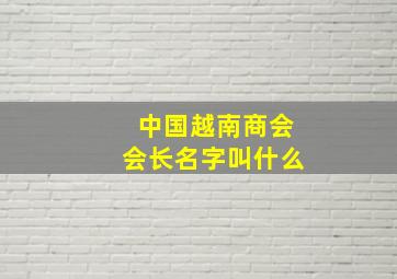 中国越南商会会长名字叫什么