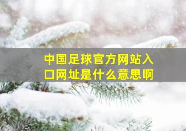 中国足球官方网站入口网址是什么意思啊