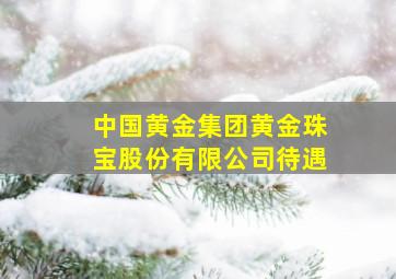 中国黄金集团黄金珠宝股份有限公司待遇