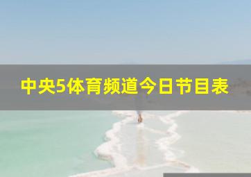 中央5体育频道今日节目表