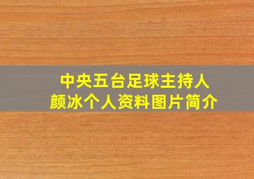 中央五台足球主持人颜冰个人资料图片简介