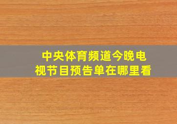 中央体育频道今晚电视节目预告单在哪里看