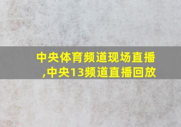 中央体育频道现场直播,中央13频道直播回放