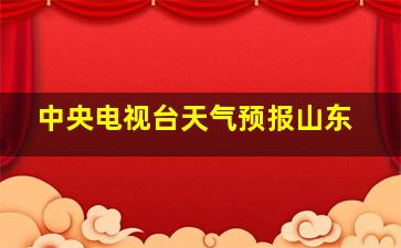 中央电视台天气预报山东