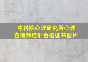 中科院心理研究所心理咨询师培训合格证书图片