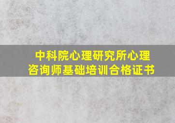 中科院心理研究所心理咨询师基础培训合格证书