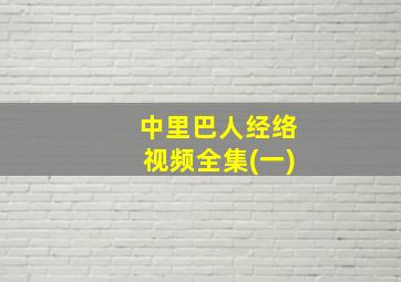 中里巴人经络视频全集(一)