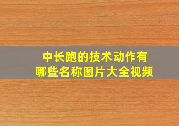 中长跑的技术动作有哪些名称图片大全视频