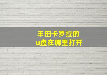 丰田卡罗拉的u盘在哪里打开