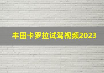 丰田卡罗拉试驾视频2023