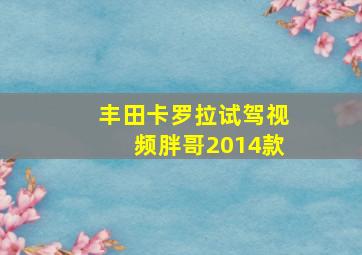 丰田卡罗拉试驾视频胖哥2014款