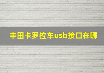 丰田卡罗拉车usb接口在哪