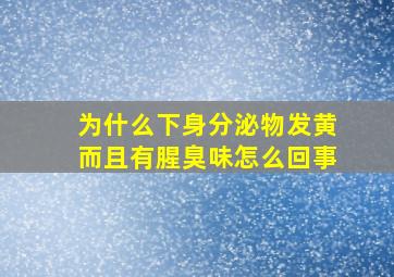 为什么下身分泌物发黄而且有腥臭味怎么回事