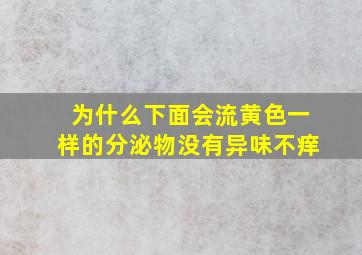 为什么下面会流黄色一样的分泌物没有异味不痒