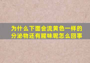 为什么下面会流黄色一样的分泌物还有腥味呢怎么回事