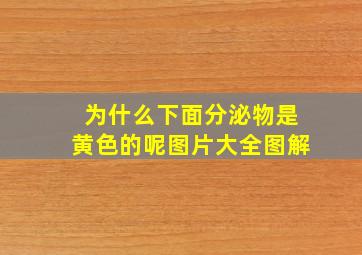 为什么下面分泌物是黄色的呢图片大全图解