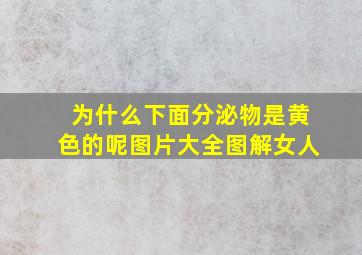 为什么下面分泌物是黄色的呢图片大全图解女人